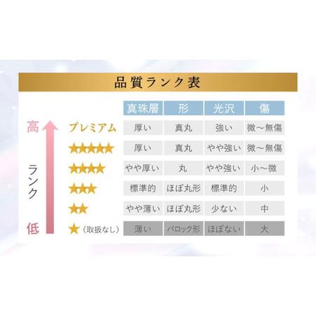 ふるさと納税 【7営業日以内発送】《アコヤ真珠》8.5-9.0mm フォーマルパールネックレス と ピアス セット 【★★★★☆】 ／ アクセサリー ジュ.. 長崎県長崎市の画像