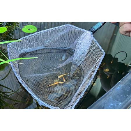 メダカ用 タモ網大（太・細） 2本セット メダカ タモ 網 セット めだか タモ網 手作り 天然素材 高品質 軽量 耐久 飼育 83-D 【ウスイタ】 茨城県小美玉市