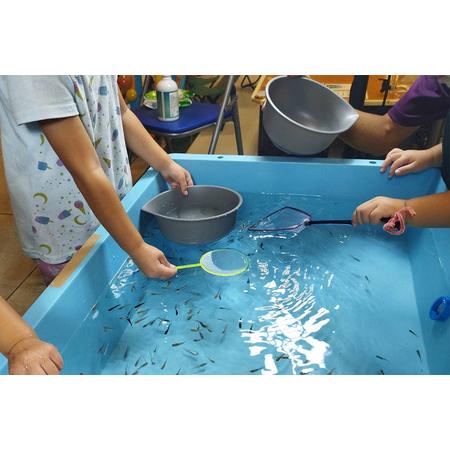メダカ用 タモ網大（太・細） 2本セット メダカ タモ 網 セット めだか タモ網 手作り 天然素材 高品質 軽量 耐久 飼育 83-D 【ウスイタ】 茨城県小美玉市