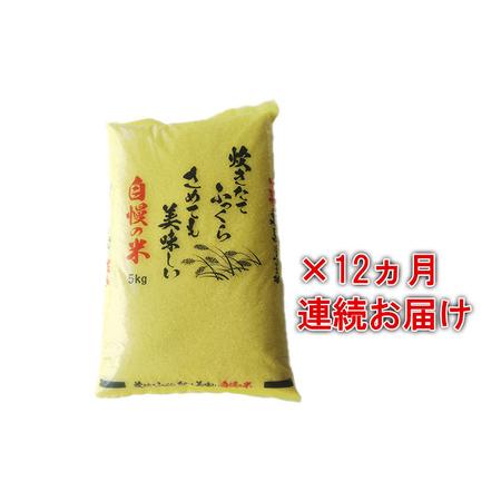25【新品未使用】 ふるさと納税 ★希少★壮瞥1号米5kg【12ヶ月連続お届け】 北海道壮瞥町 【BCD1799512263】(63360円)