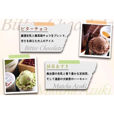 ふるさと納税 アイス ご当地アイス12個とアイス専用スプーン（シルバー1本）の13点セット [AICN002] 島根県雲南市の画像