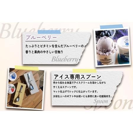 ふるさと納税 アイス ご当地アイス12個とアイス専用スプーン（シルバー1本）の13点セット [AICN002] 島根県雲南市の画像