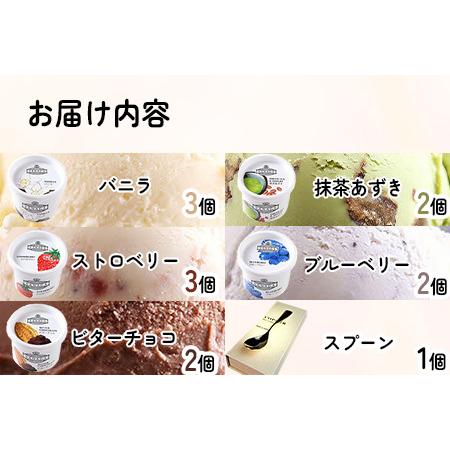 ふるさと納税 アイス ご当地アイス12個とアイス専用スプーン（シルバー1本）の13点セット [AICN002] 島根県雲南市の画像