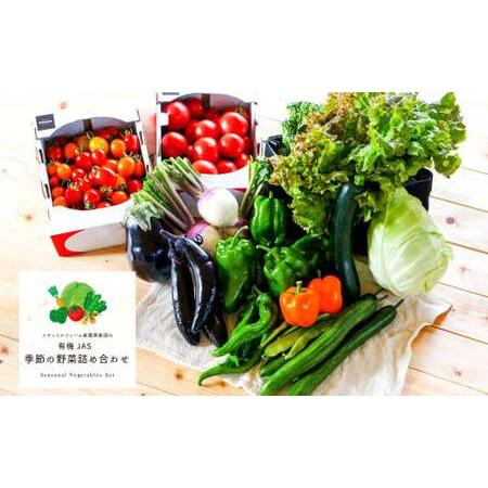 ふるさと納税 【有機JAS認定】【4ヶ月隔月定期便】 季節の野菜詰め合わせ 〜有機野菜セットB〜 15種類〜18種類 季節 野菜 野菜セット 有機野菜.. 北海道北広島市の画像