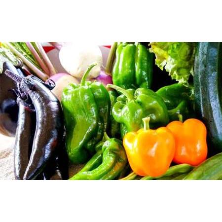 ふるさと納税 【有機JAS認定】【4ヶ月隔月定期便】 季節の野菜詰め合わせ 〜有機野菜セットB〜 15種類〜18種類 季節 野菜 野菜セット 有機野菜.. 北海道北広島市の画像