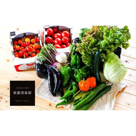 ふるさと納税 【有機JAS認定】【6ヶ月隔月定期便】 季節の野菜詰め合わせ 〜有機野菜セットB〜 15種類〜18種類 季節 野菜 野菜セット 有機野菜.. 北海道北広島市_2
