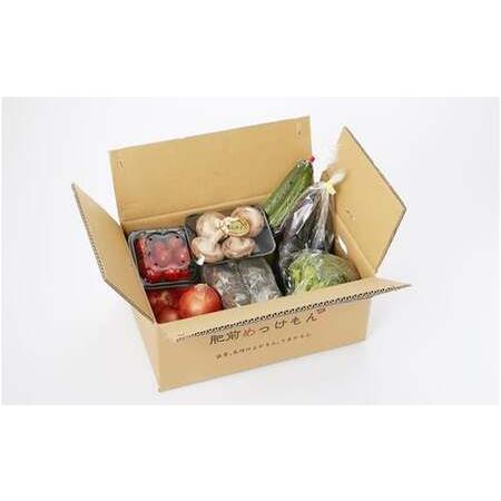 ふるさと納税 L-37 鮮度抜群！肥前の国のお野菜詰め合わせセット（8〜10品目） 野菜 詰め合わせ 野菜セット 野菜詰め合わせ 旬野菜 採れたて 新.. 佐賀県太良町の画像