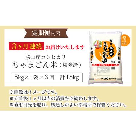 ふるさと納税 【令和6年産 新米】【定期便3回】勝山のお米 コシヒカリ 
