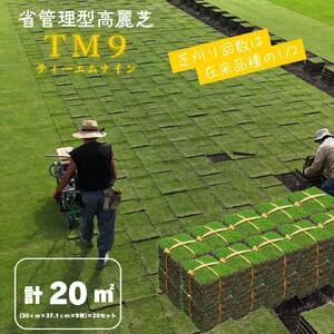 ふるさと納税 芝生(省管理型コウライ芝 TM9ティーエムナイン)20束 