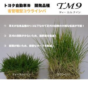 ふるさと納税 芝生(省管理型コウライ芝　TM9ティーエムナイン)20束セット※20平米分 鳥取県琴浦町_1