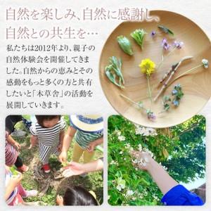 ふるさと納税 ＜木のひなかざり＞おひなさま【木草舎ーもくそうやー】 大分県由布市_2