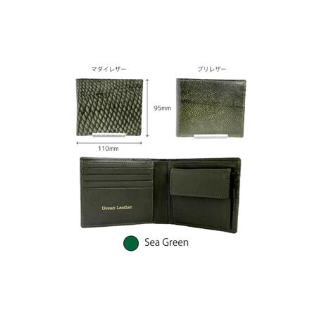 ふるさと納税 【Sea Green】Ocean Leather 二つ折り財布【マダイ】【興洋フリーズ株式会社】 [ATBX070-04] 高知県高知市の画像