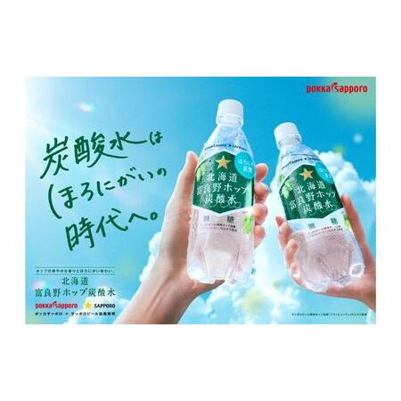 ふるさと納税 北海道 定期便 6ヵ月 連続 全6回 炭酸水 500ml × 24本 北海道富良野ホップ炭酸水 ポッカサッポロ 無糖 北海道富良野ホッ.. 北海道上富良野町の画像