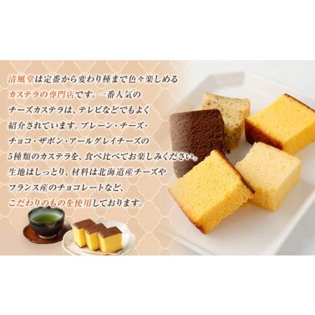 ふるさと納税 【5回定期便】長崎カステラ 5種類 食べ比べセット ／ プレーン チーズ チョコ ザボン アールグレイチーズ かすてら お菓子 菓子 デ.. 長崎県長崎市_3