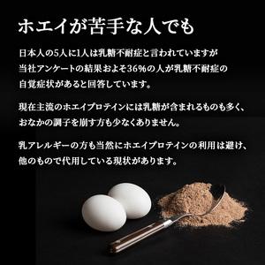 ふるさと納税 REVOPRO EGG WHITE PROTEIN プレミアムチョコレート味 パウチタイプ 1kg×2個 プロテイン 乳糖フリー たんぱく質 ボディメイク.. 千葉県市原市の画像