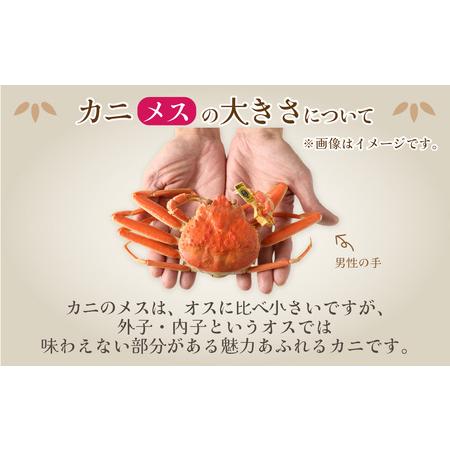 ふるさと納税 【訳あり】釜茹で　蟹好き集まれ！オオズワイガニオス 甲羅盛 【甲羅盛95g前後 】[A-096018] / 蟹 福井県福井市_2