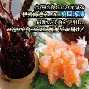 ふるさと納税 【冷凍】 伊勢海老 500g 2尾 〜 3尾 伊勢海老 三重県志摩市_1