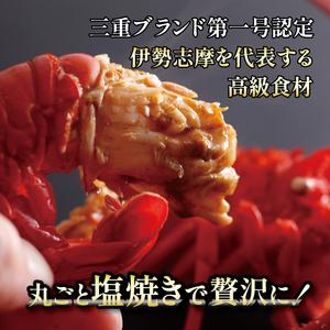ふるさと納税 【冷凍】 伊勢海老 500g 2尾 〜 3尾 伊勢海老 三重県志摩市_2