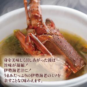 ふるさと納税 【冷凍】 伊勢海老 500g 2尾 〜 3尾 伊勢海老 三重県志摩市_3