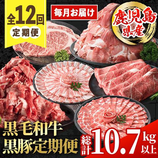 ふるさと納税 [定期便・計12回(連続)] 鹿児島県産 黒毛和牛 黒豚 定期便 総計 約10.7kg 以上 [スターゼン] i1008 鹿児島県出水市