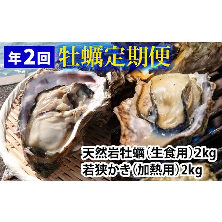 ふるさと納税 [定期便][年2回]若狭の天然岩牡蠣(生食用)と若狭小浜ブランド 若狭かき(加熱用)2kg×2回 計4kg [BFAO014] [配送不可.. 福井県小浜市