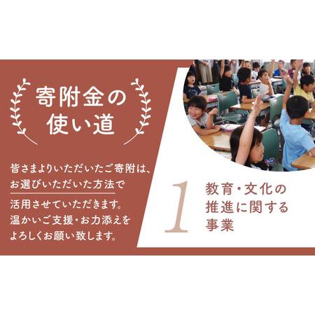ふるさと納税 【返礼品なし】 佐賀県 江北町 ふるさと応援寄附金（2,000,000円分）【佐賀県江北町】[HZZ033] 佐賀県江北町の画像