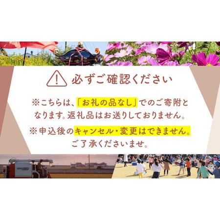 ふるさと納税 【返礼品なし】 佐賀県 江北町 ふるさと応援寄附金（2,000,000円分）【佐賀県江北町】[HZZ033] 佐賀県江北町の画像