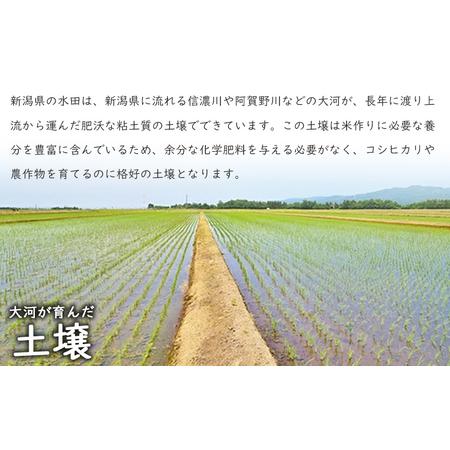 ふるさと納税 こしひかり 新潟産 コシヒカリ 10kg 毎月3回 連続でお届けします。定期便 米 お米 こめ コメ ごはん 新潟 白米 コシヒカリ ブラン.. 新潟県新潟市_4