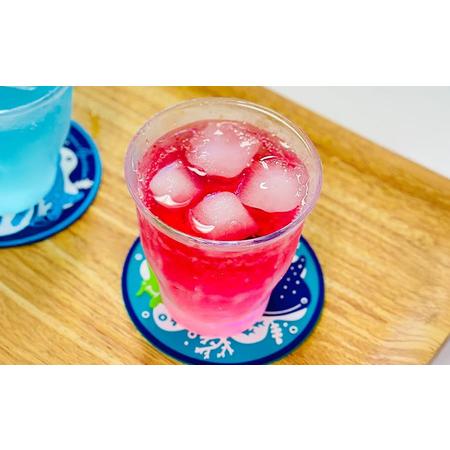 ふるさと納税 沖縄美ら海水族館オリジナル「ちゅらうみサイダー