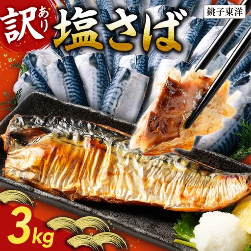 ふるさと納税 訳あり 塩さば フィーレ 約3kg 冷凍 おかず 惣菜 サハ゛ 鯖 海鮮 魚 大容量 鯖切身 鯖切り身 さば切身 さば切り身 ...