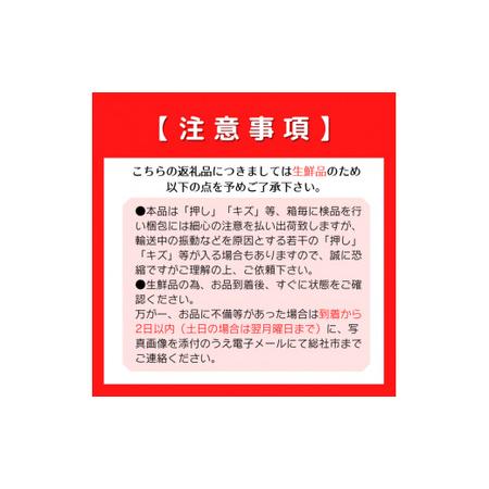 直営店☆メロン☆ふるさと納税 「守安さんのアールスメロン」1玉（大玉）岡山県総社市産【2025年産先行予約】25-012-002 岡山県総社市