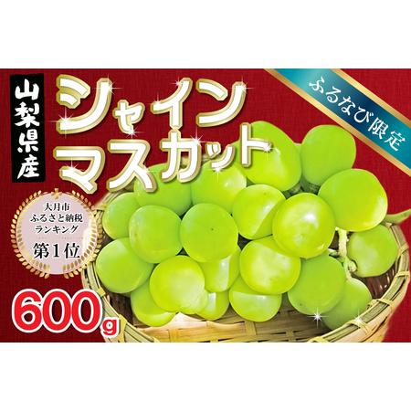 ふるさと納税 [ふるなびWEEK対象]シャインマスカット 600g 2026年先行予約分 シャインマスカット FN-Limited-PR 山梨県大月市