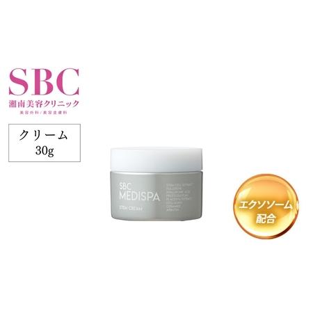 ふるさと納税 美容 オールインワン SBC MEDISPA ステムジェリー 40g