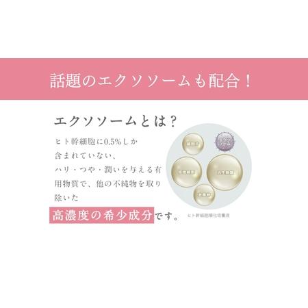 ふるさと納税 美容 オールインワン SBC MEDISPA ステムジェリー 40g