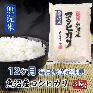ふるさと納税 【無洗米】お米マイスター厳選！魚沼産コシヒカリ３kg×12ヶ月毎月発送 定期便 新潟県 新潟県