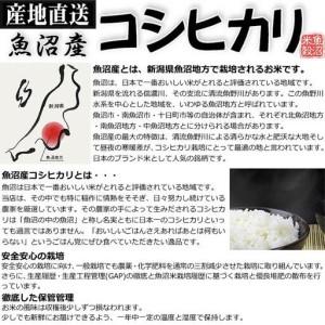 ふるさと納税 【無洗米】お米マイスター厳選！魚沼産コシヒカリ３kg×12ヶ月毎月発送 定期便 新潟県 新潟県