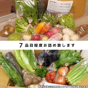 ふるさと納税 ＜6ヵ月定期便＞旬の野菜詰め合わせ 7〜8種 | 野菜セット 詰め合わせ 定期便 埼玉県所沢市_1