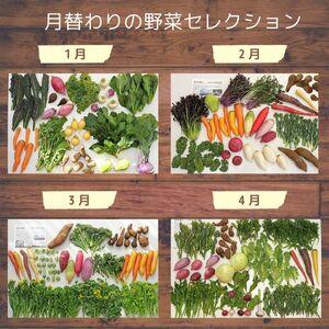 ふるさと納税 ＜6ヵ月定期便＞旬の野菜詰め合わせ 7〜8種 | 野菜セット 詰め合わせ 定期便 埼玉県所沢市_2