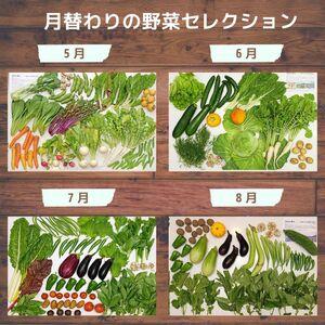 ふるさと納税 ＜6ヵ月定期便＞旬の野菜詰め合わせ 7〜8種 | 野菜セット 詰め合わせ 定期便 埼玉県所沢市_3