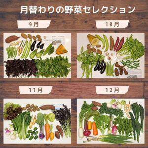 ふるさと納税 ＜6ヵ月定期便＞旬の野菜詰め合わせ 7〜8種 | 野菜セット 詰め合わせ 定期便 埼玉県所沢市_4