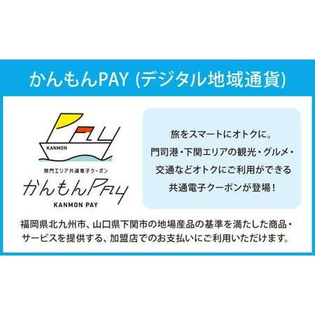 ふるさと納税 かんもんPAY 16,500円分 関門エリア 共通電子クーポン 門司港 下関 電子クーポン クーポン 福岡県北九州市_1