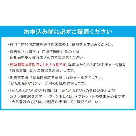 ふるさと納税 かんもんPAY 16,500円分 関門エリア 共通電子クーポン 門司港 下関 電子クーポン クーポン 福岡県北九州市_2