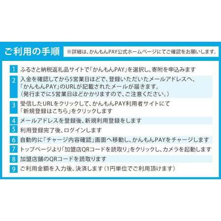 ふるさと納税 かんもんPAY 16,500円分 関門エリア 共通電子クーポン 門司港 下関 電子クーポン クーポン 福岡県北九州市_3