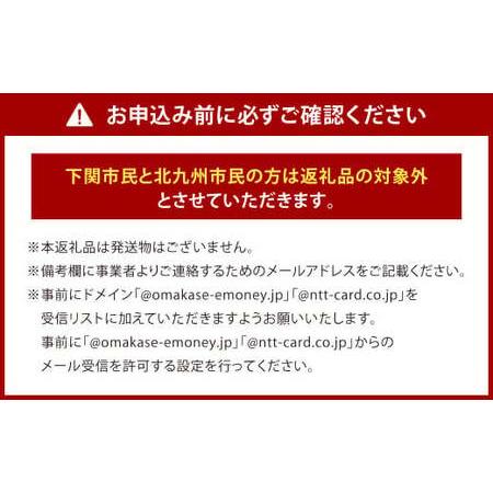 ふるさと納税 かんもんPAY 16,500円分 関門エリア 共通電子クーポン 門司港 下関 電子クーポン クーポン 福岡県北九州市_4