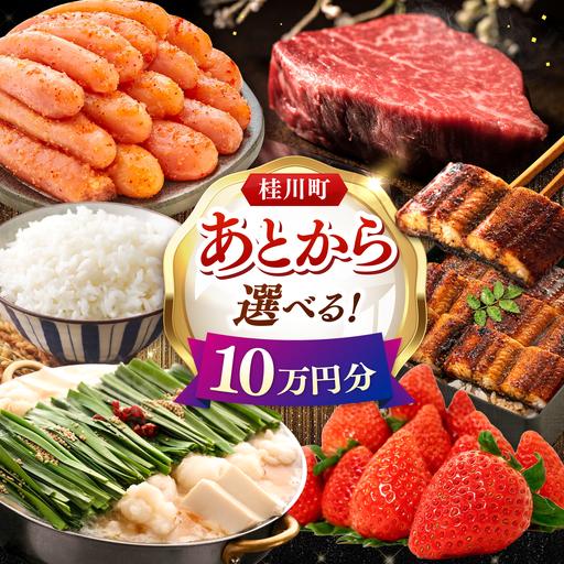 ふるさと納税 [あとから選べる]桂川町ふるさとギフト 10万円分 [ADBV008] 選べる セレクト カタログ 定期便 肉 フルーツ 福岡県桂川町