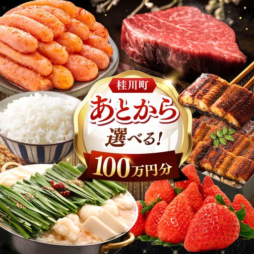 ふるさと納税 [あとから選べる]桂川町ふるさとギフト 100万円分 [ADBV011] 選べる セレクト カタログ 定期便 肉 フルーツ 福岡県桂川町