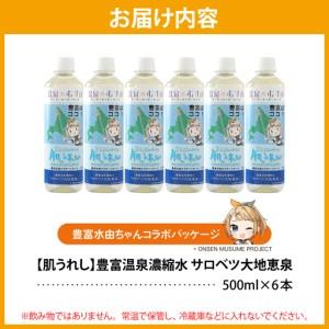 ふるさと納税 豊富温泉 濃縮温泉水 サロベツ大地恵泉 (500ml×6本) 北海道豊富町_4