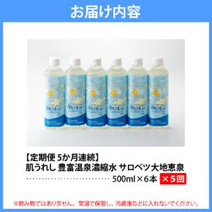 ふるさと納税 【定期便 5か月連続】 豊富温泉 濃縮温泉水 サロベツ大地