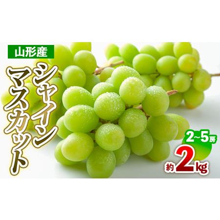 ふるさと納税 山形産 シャインマスカット 約2kg(2〜5房) 【令和7 ふるさと納税 山形産 シャインマスカット 約2kg(2〜5房) 【令和7