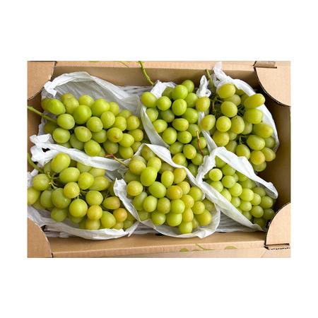 ふるさと納税 [ご家庭用]山形産 シャインマスカット 約5kg (5房〜11房